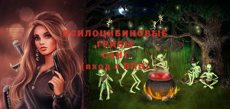 Галлюциногенные грибы Psilocybine cubensis  Электрогорск 